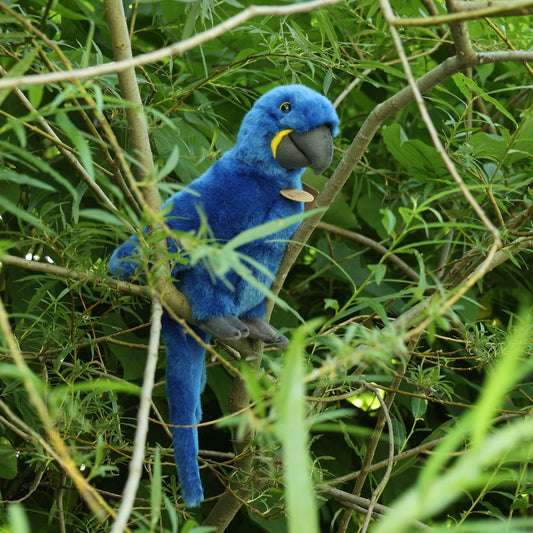 Hyazinthara Papagei blau 25 cm hoch Kuscheltier Vogel Plüschtier