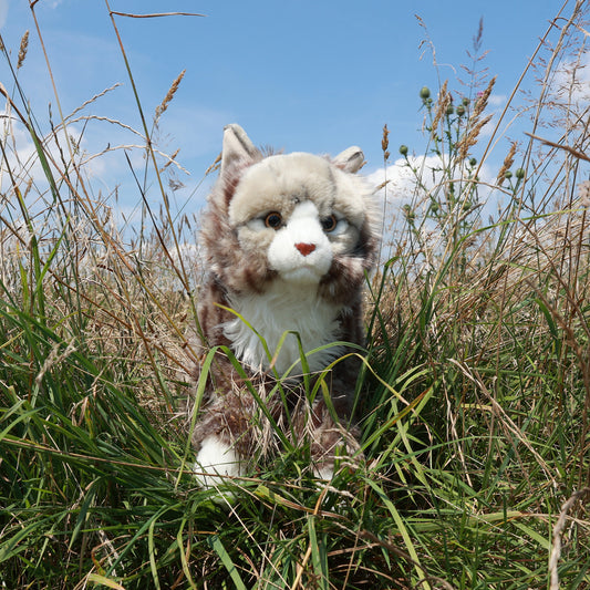 Maine Coon Norwegische Waldkatze 52 cm Kuscheltier Katze Plüschtier