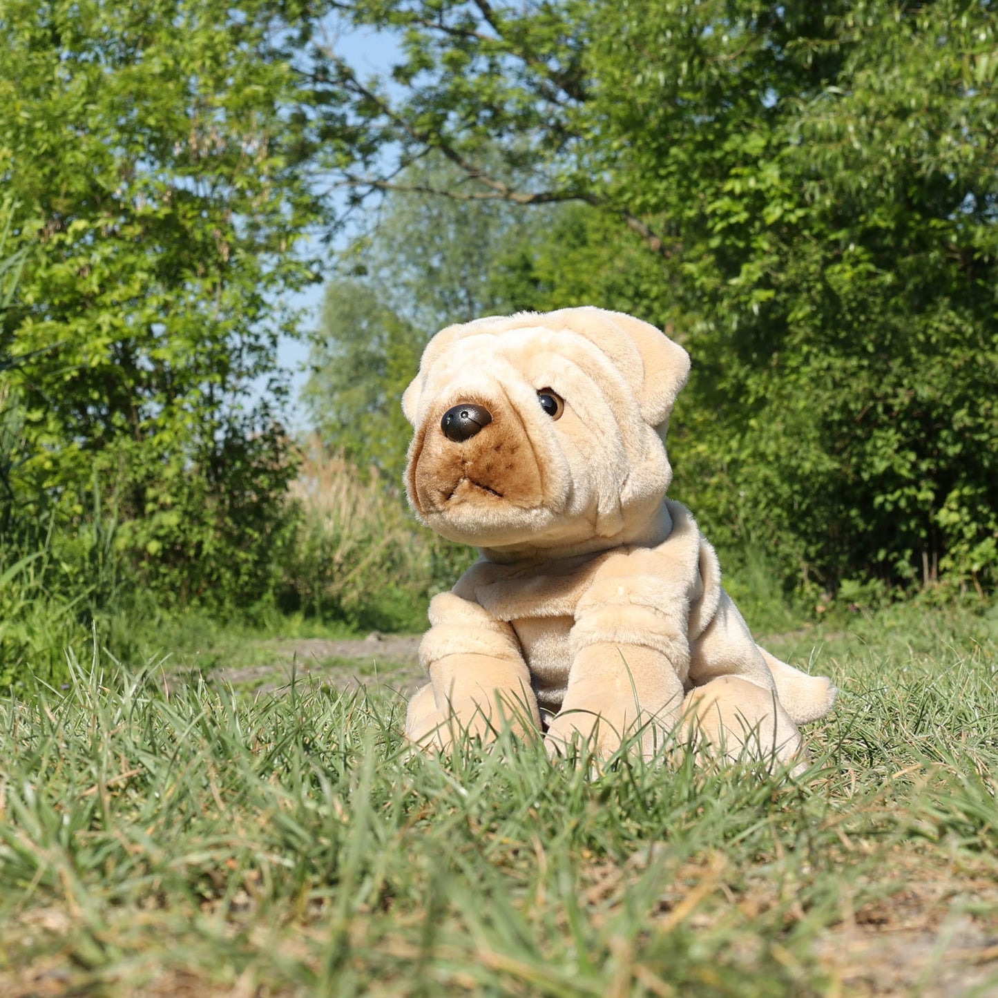 Shar Pei Faltenhund 23 cm sitzend Kuscheltier Hund Plüschtier