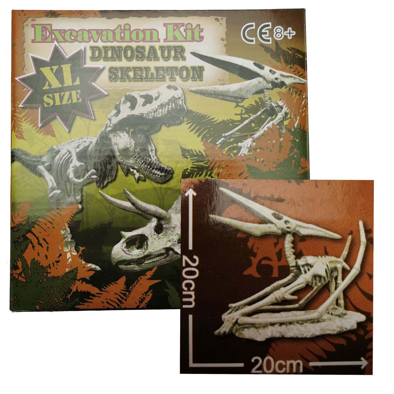 Ausgrabungsset Pteranodon Dinosaurier Skelett Flugsaurier