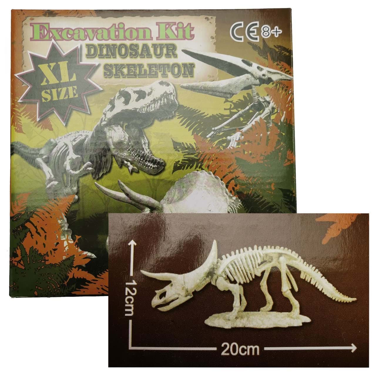 Ausgrabungsset Triceratops Dinosaurier Skelett 20 x 12 cm