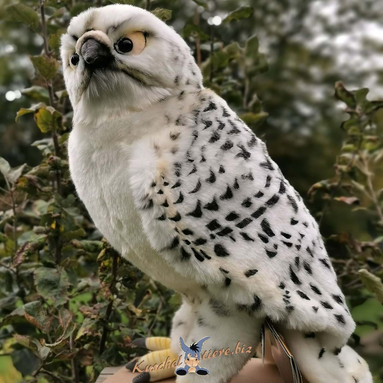Gerfalke PREMIUM Falke Vogel Greif weiß Plüschtier Dekotier AMIR