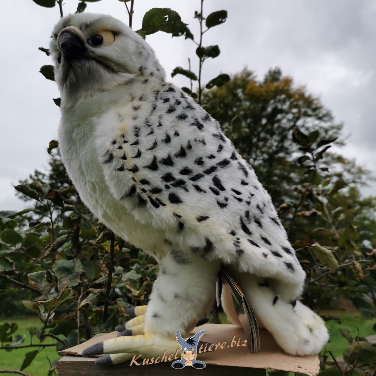 Gerfalke PREMIUM Falke Vogel Greif weiß Plüschtier Dekotier AMIR