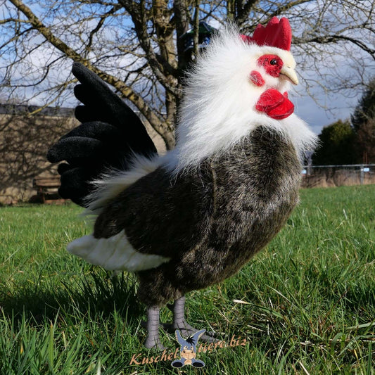 Hahn PREMIUM Plüschtier Huhn Vogel Dekotier MOMMFRED