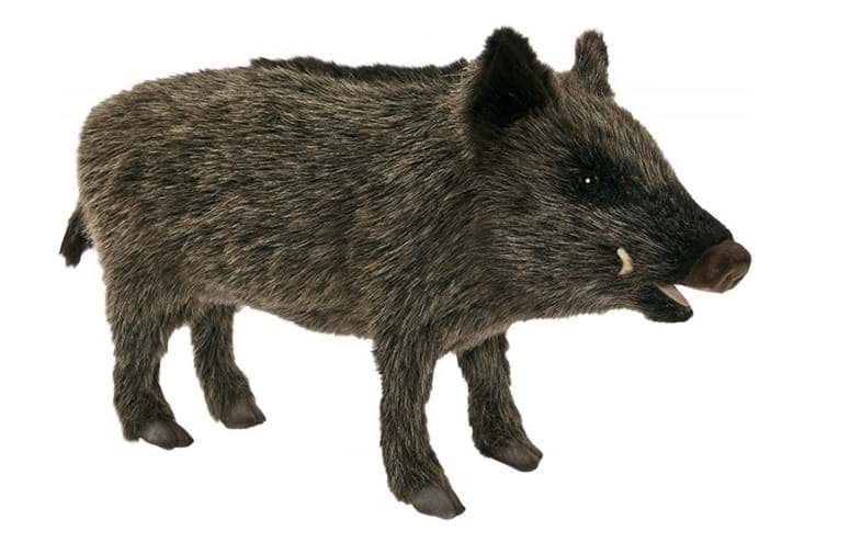 Wildschwein PREMIUM Keiler Bache Plüsch Dekotier GERTI