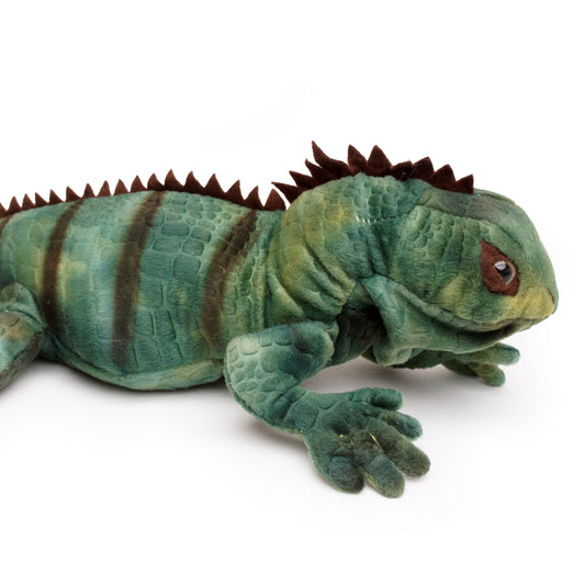 Leguan Kuscheltier grün Iguana Echse Plüschtier 68 cm GRISU