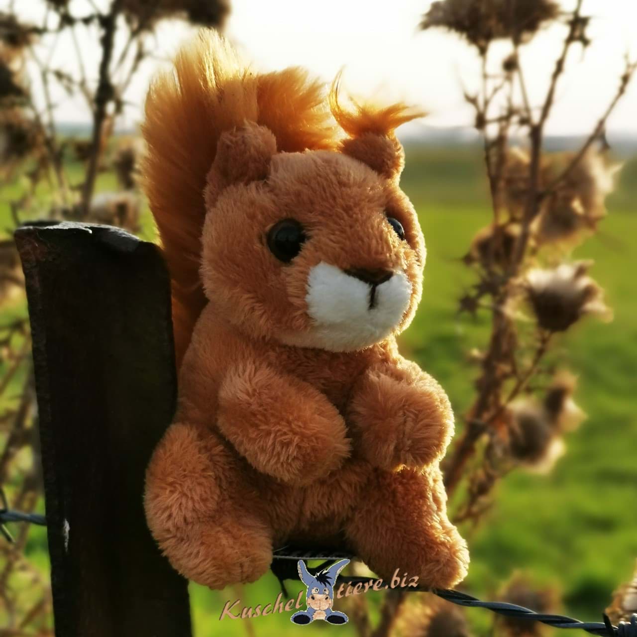 Eichhörnchen Kuscheltier Plüschtier Nagetier AIG