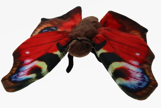 Schmetterling Kuscheltier Pfauenauge Falter Insekt PINA