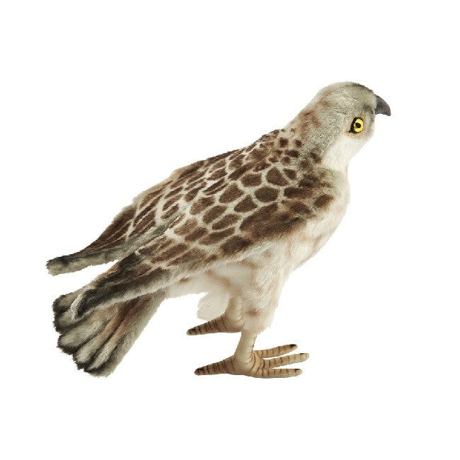 Turmfalke 25cm Falke Greifvogel Vogel Realistisch Deko Stofftier Plüschtier