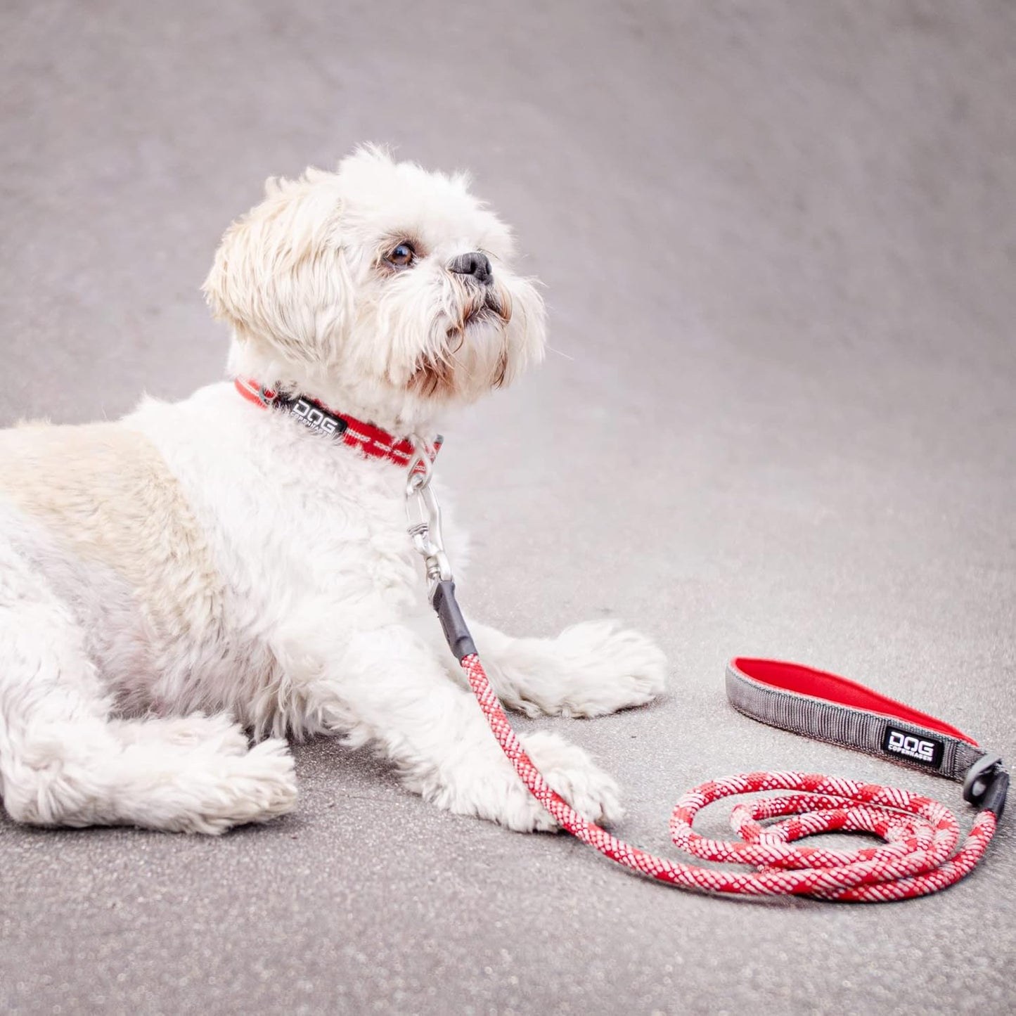 Dog Copenhagen Urban Style V2 Halsband Classic Red
