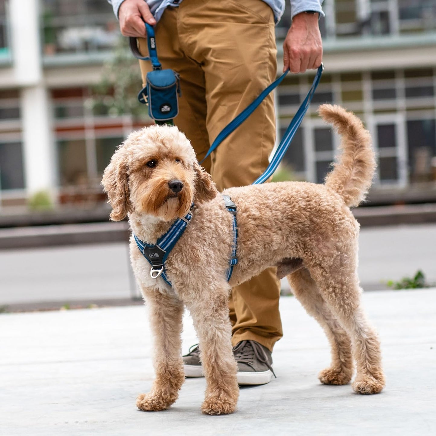 Dog Copenhagen Comfort Walk Air 3.0 Hundegeschirr Ocean Blue