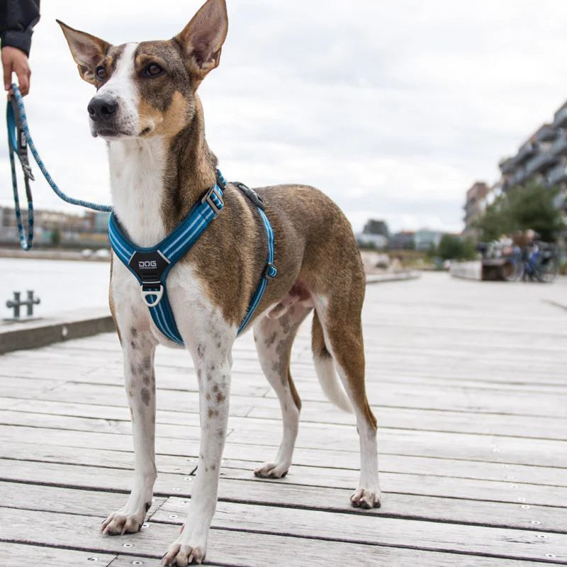 Dog Copenhagen Comfort Walk Air 3.0 Hundegeschirr Ocean Blue