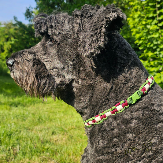 Halsband EM-Keramik Paracord + Klick-Verschluss