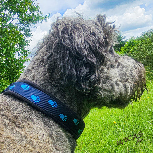 Halsband Polarfleece mit Pfoten blau