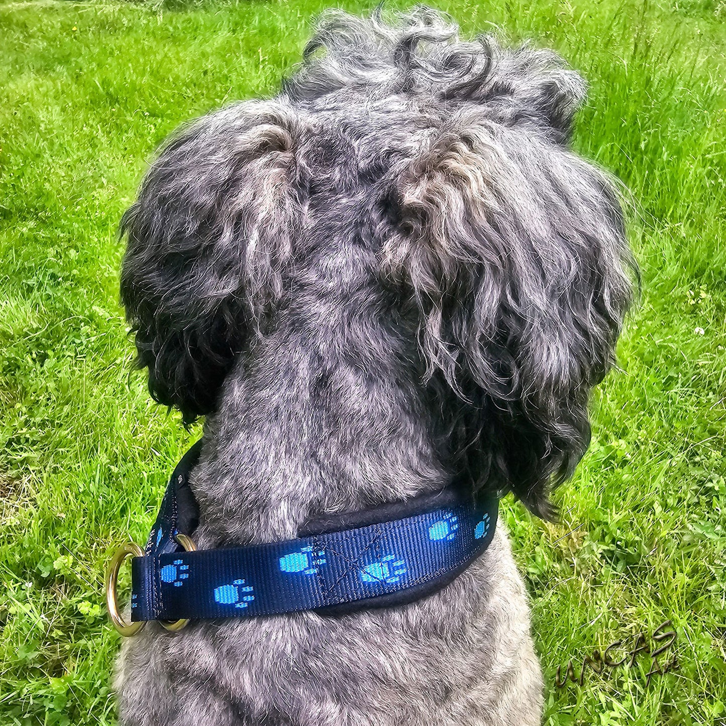 Halsband Polarfleece mit Pfoten blau