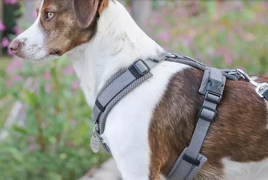 Petlando MESH Y-Comfort Geschirr navy blau