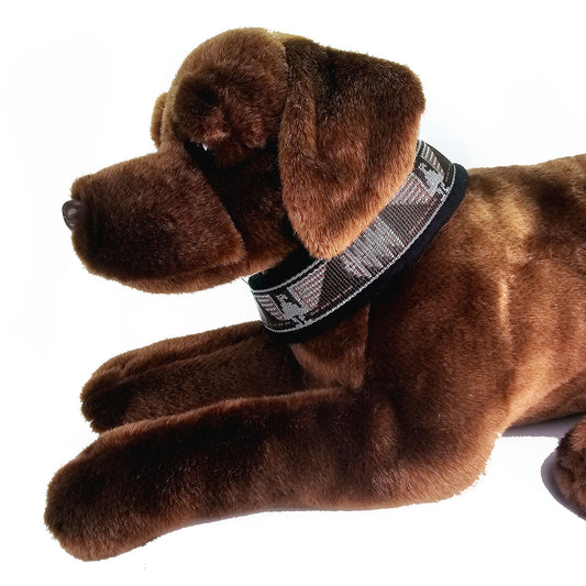 gepolstertes Halsband Indian Eagle