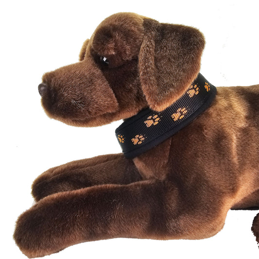 gepolstertes Halsband mit Tatzen schwarz orange