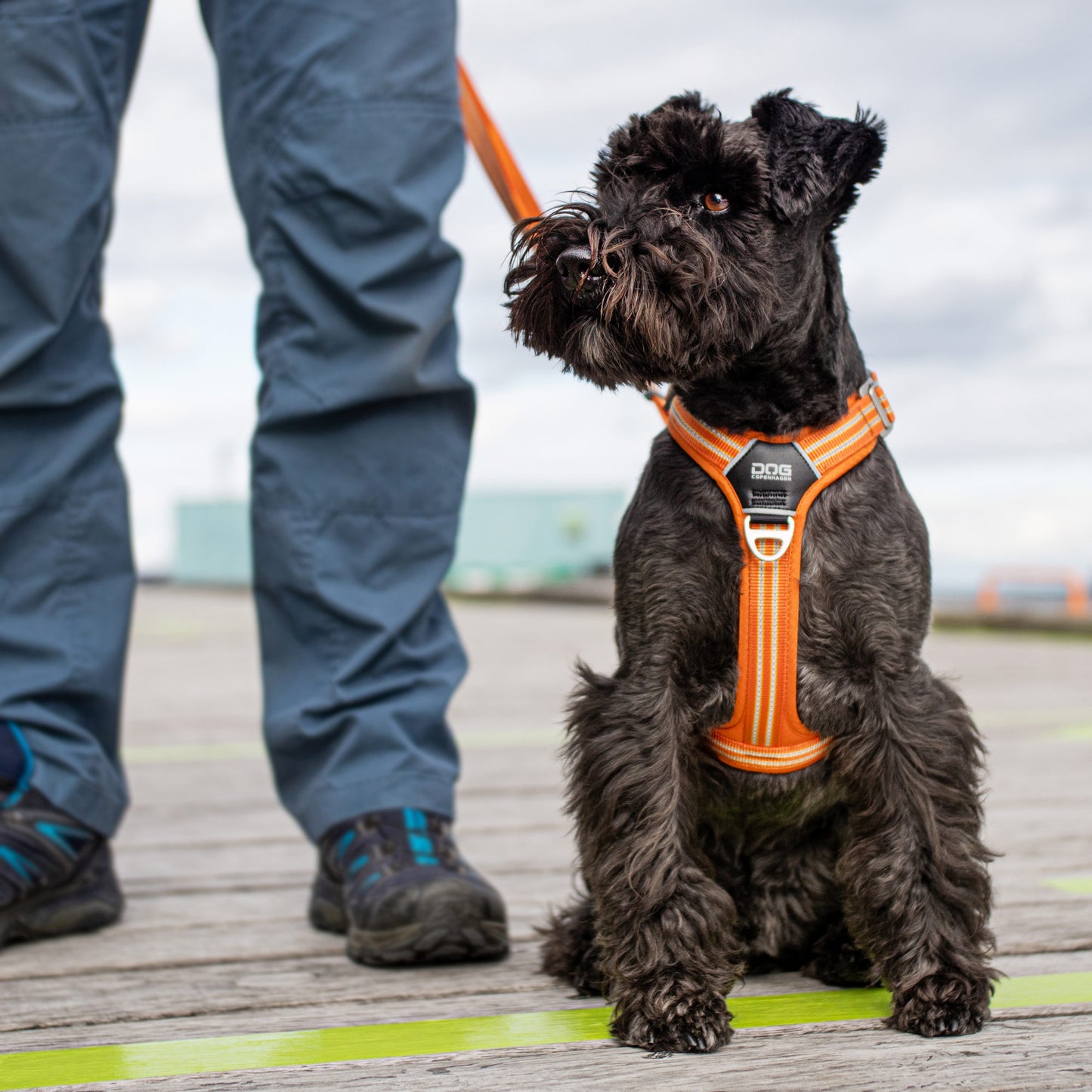 Dog Copenhagen Comfort Walk Air 3.0 Hundegeschirr Orange Sun