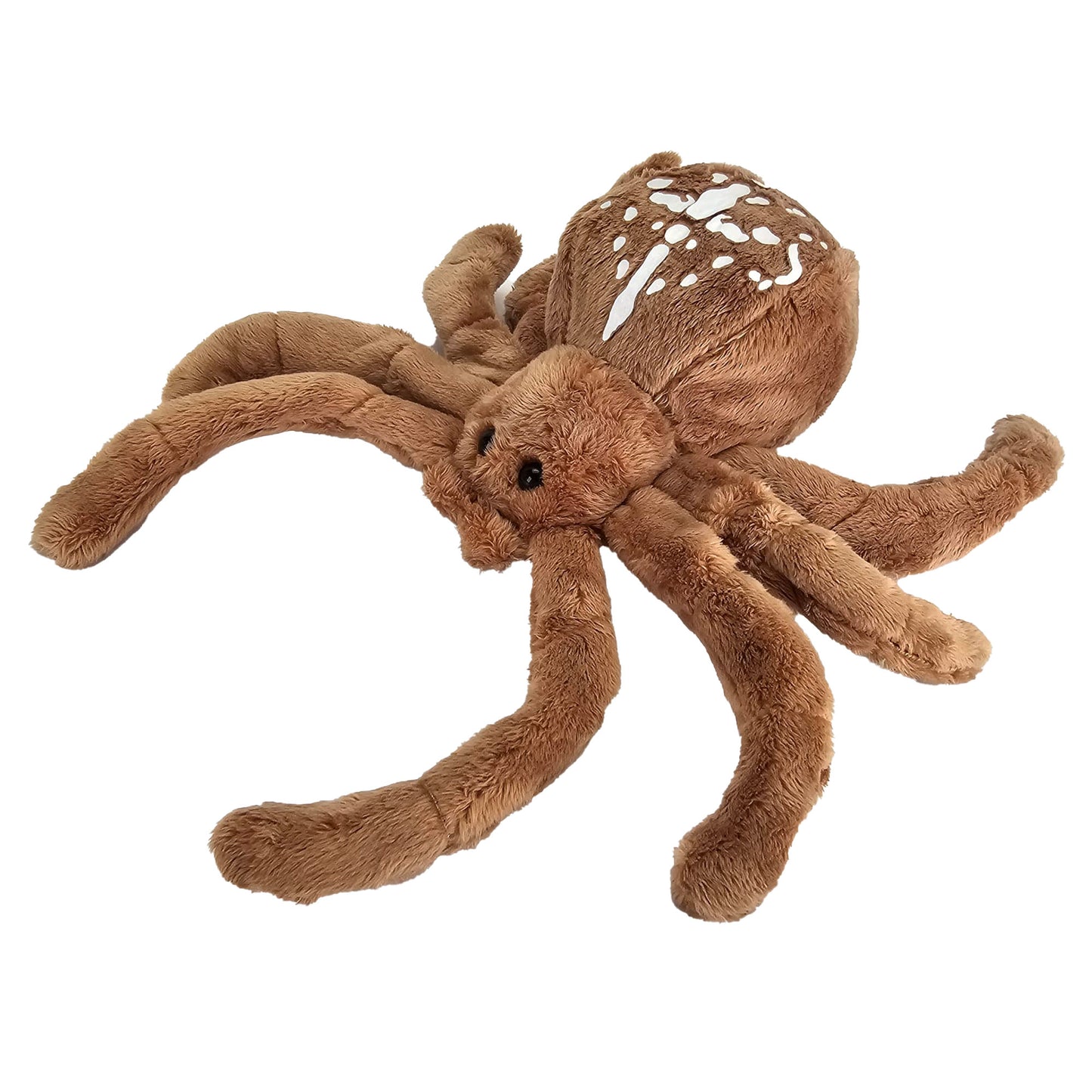 Kreuzspinne Kuscheltier Spinne braun Nosferatu Plüschtier FRANCIS
