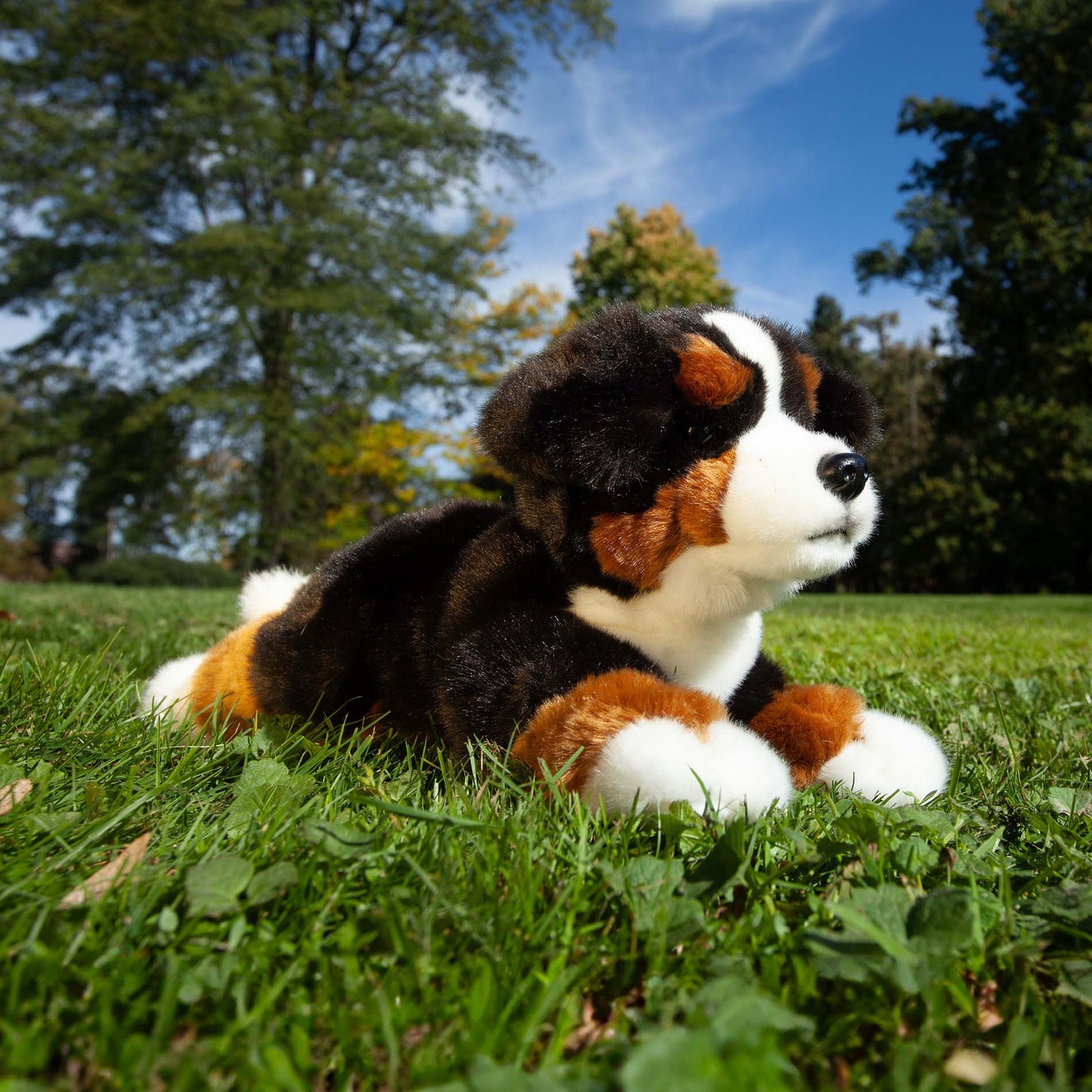 Berner Sennenhund liegend 30 cm Kuscheltier Hund Plüschtier