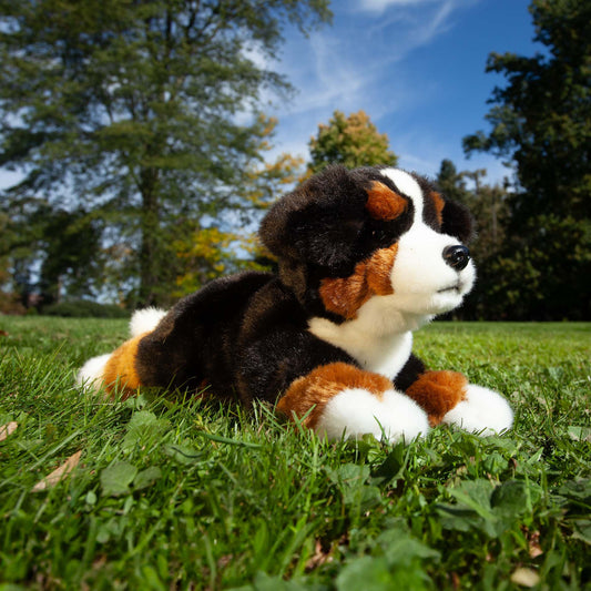 Berner Sennenhund liegend 30 cm Kuscheltier Hund Plüschtier