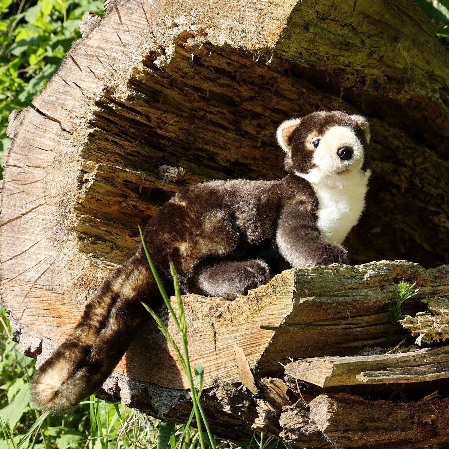 Baummarder 39 cm Kuscheltier Marder Iltis Plüschtier