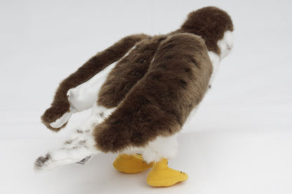 Falke Kuscheltier Vogel Wanderfalke Greif Sakerfalke FALCO