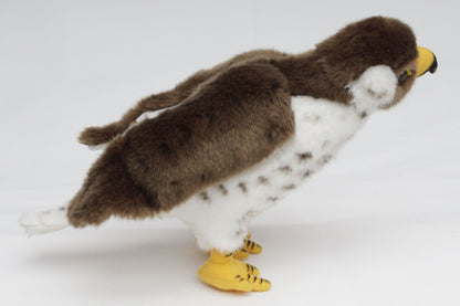 Falke Kuscheltier Vogel Wanderfalke Greif Sakerfalke FALCO