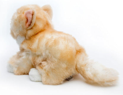Katze Kuscheltier Maine Coon liegend Waldkatze CARAMELLO