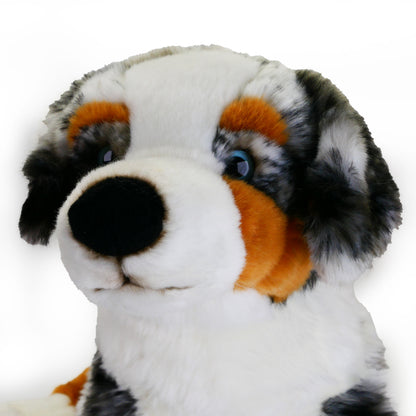 Plüsch Hund Australian Shepherd liegend Kuscheltier Border Collie Stofftier 60cm