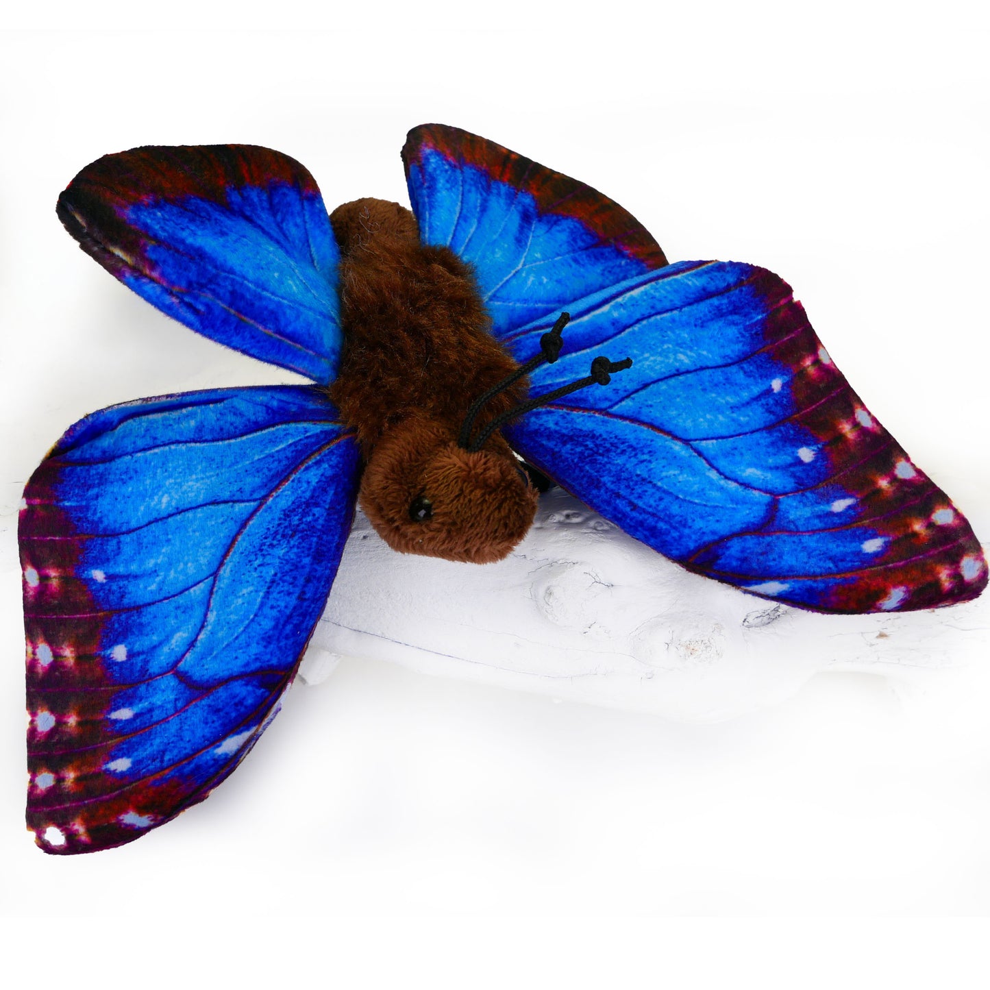 Schmetterling Kuscheltier Blauer Morphofalter Insekt