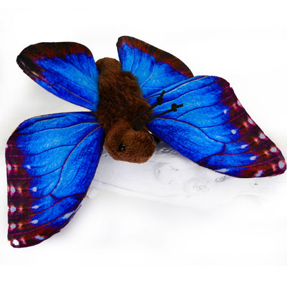 Schmetterling Kuscheltier Blauer Morphofalter Insekt
