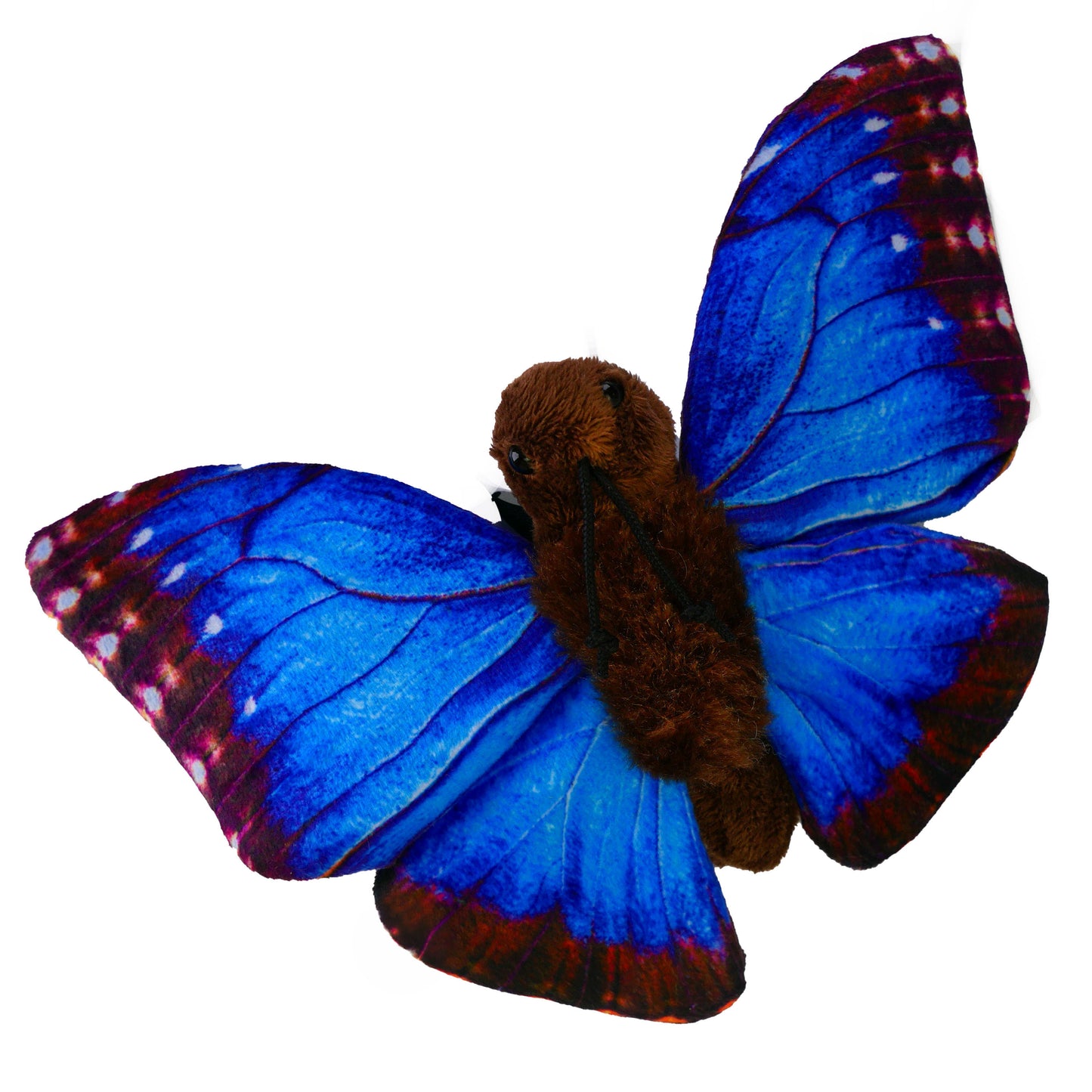 Schmetterling Kuscheltier Blauer Morphofalter Insekt