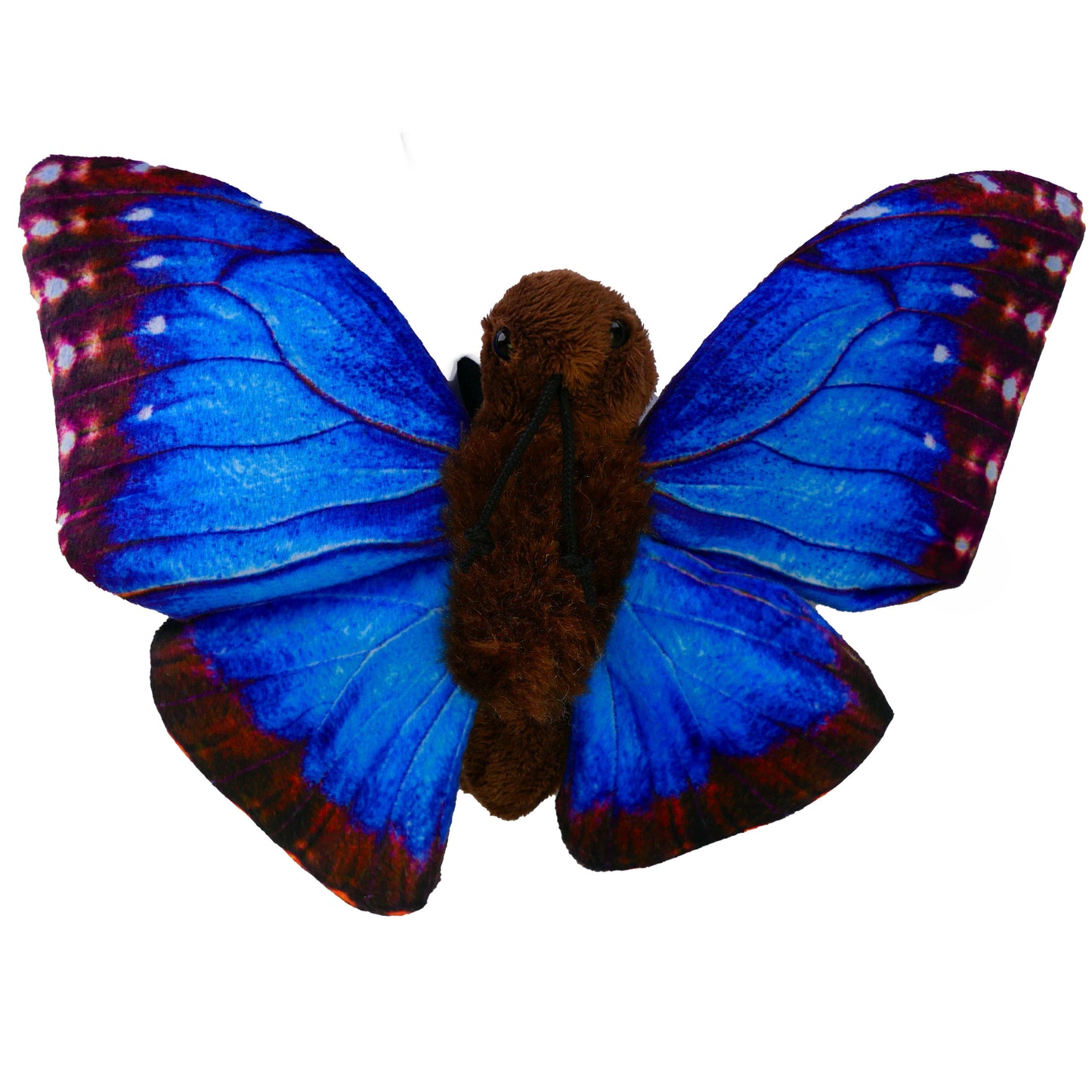 Schmetterling Kuscheltier Blauer Morphofalter Insekt