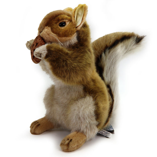 Eichhörnchen 30cm Wildtier Nuss Realistisch Deko Stofftier Plüschtier