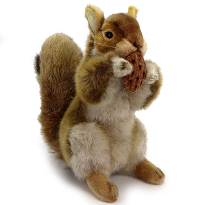 Eichhörnchen 30cm Wildtier Nuss Realistisch Deko Stofftier Plüschtier