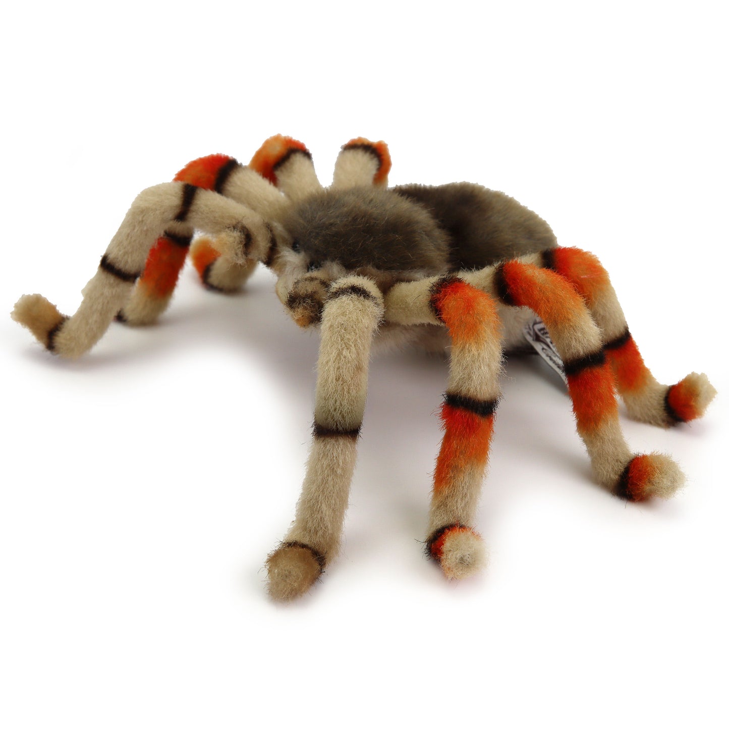 Plüsch Vogelspinne 21cm Spinne Realistisch Premium Deko Stofftier Figur