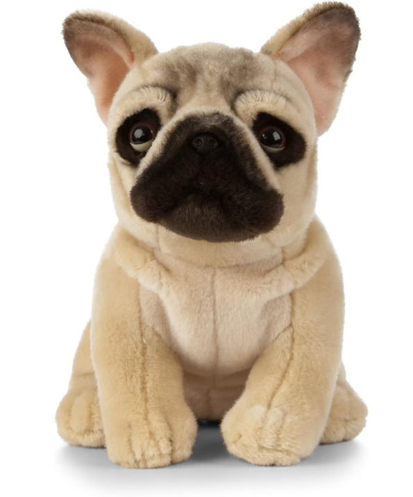 Premium Französische Bulldogge beige (20 cm) – Nachhaltiger Plüschhund aus der NATURLI-Serie (Kopie)