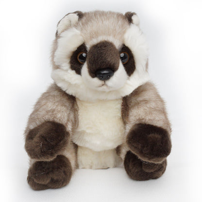 Waschbär Kuscheltier sitzend Plüschtier